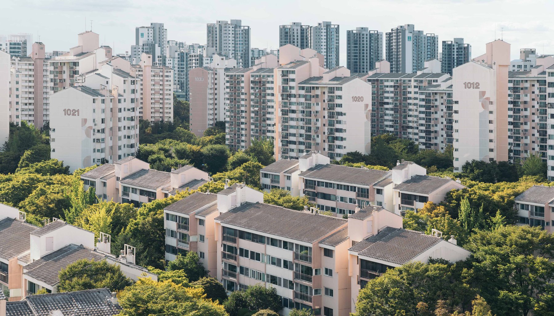 신트리공원